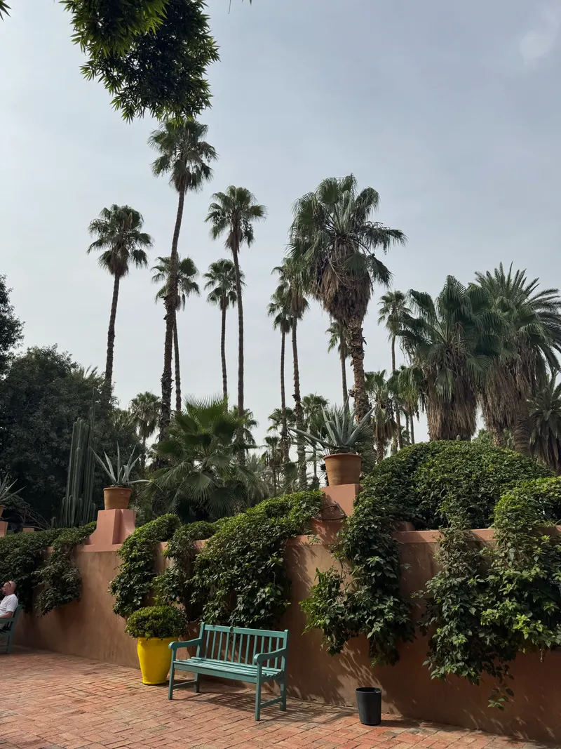Bench and palm tree view inside Jardin Majorelle