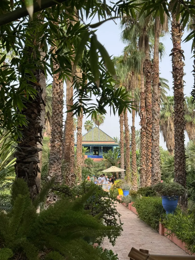 Jardin Majorelle's palm trees with the cobalt-blue house in the background
