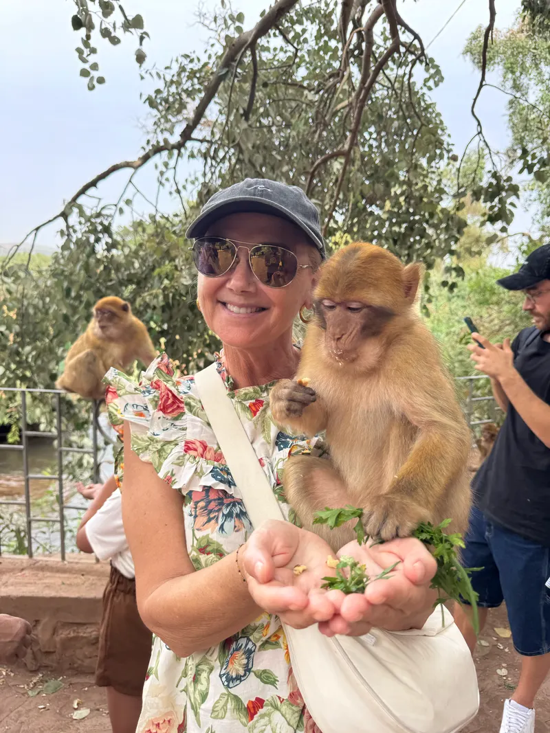 Feeding the monkeys at Ouzoud Falls