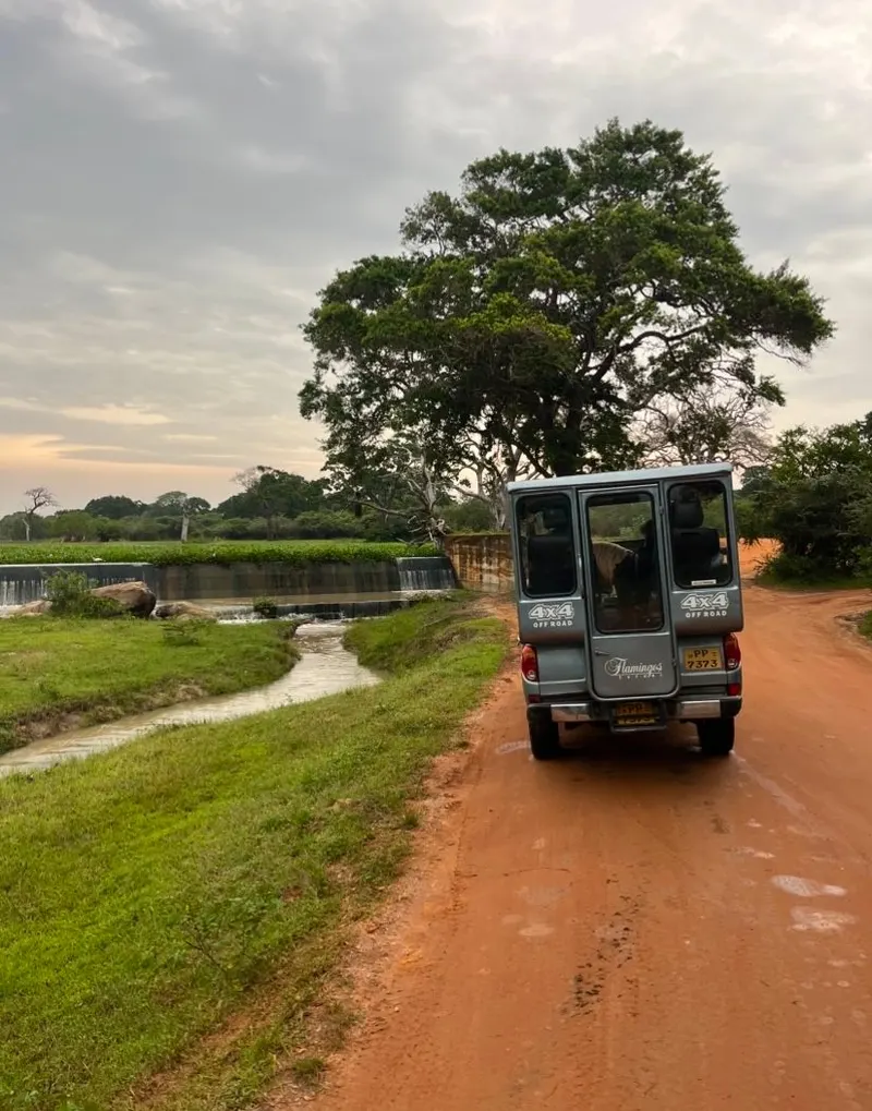Jeep in Yala Safari (Sri Lanka)