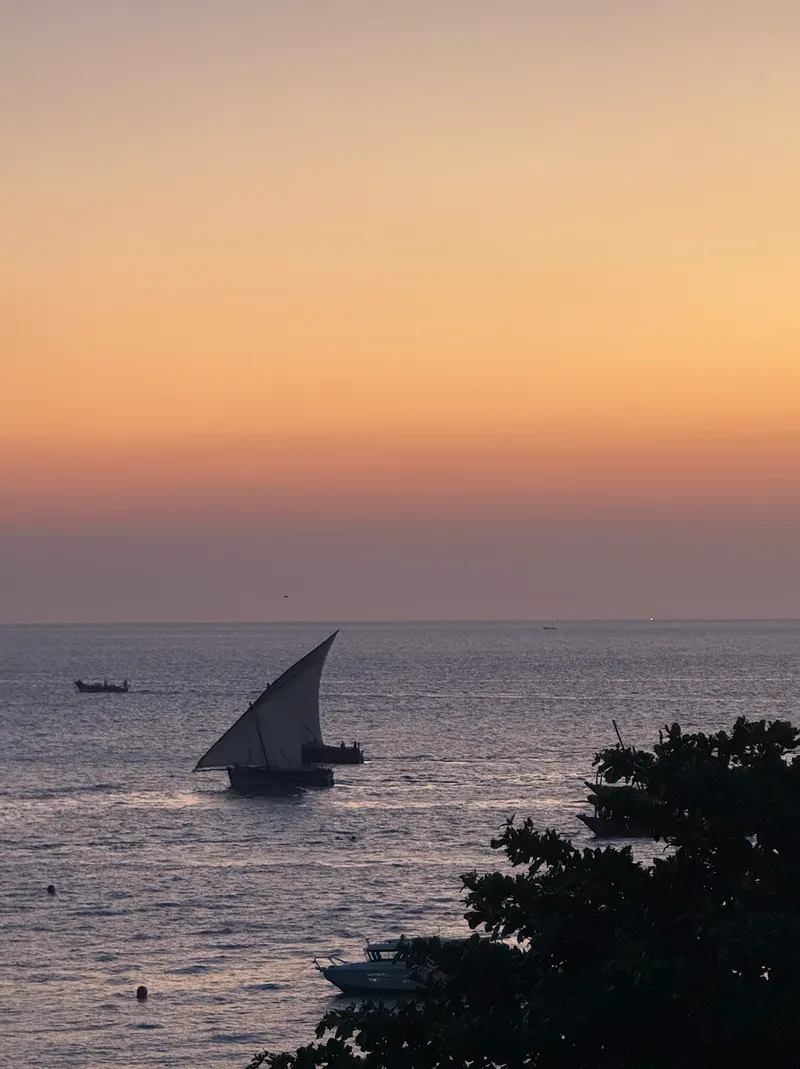 Stunning sunset with dhow traditional boats in the foreground Stone Town Zanzibar