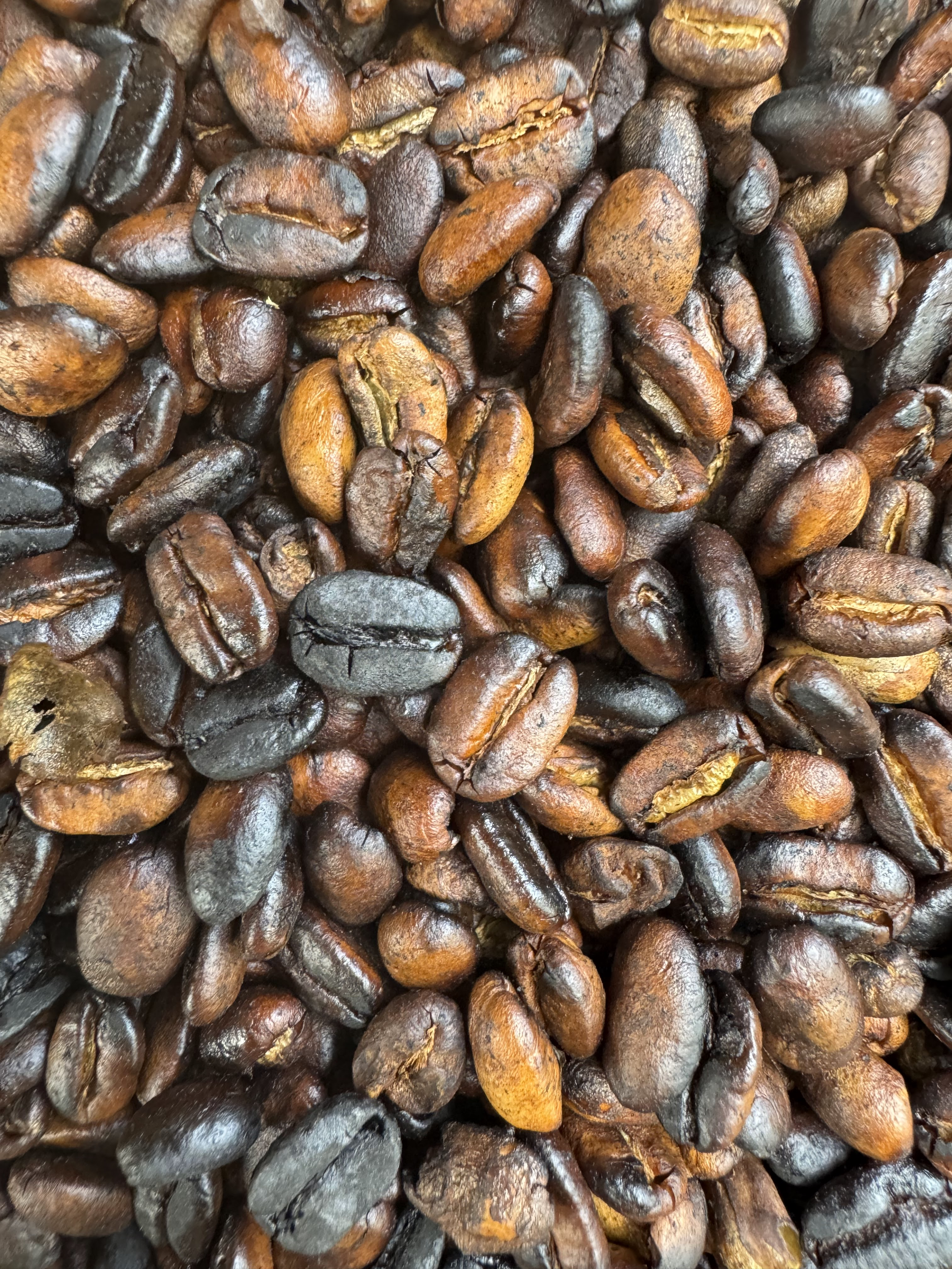 Freshly roasted coffee beans by Chaga people