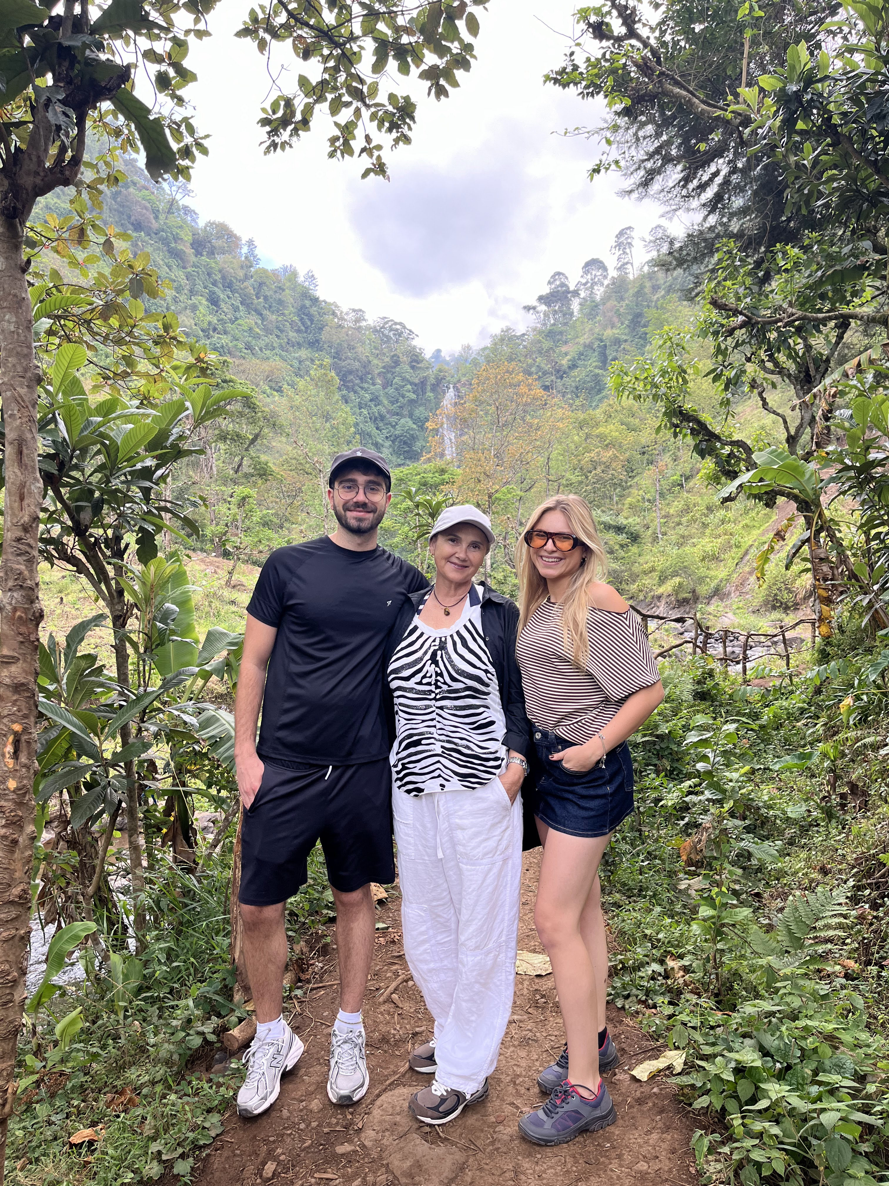 Lush forest surrounding the Materuni Waterfalls